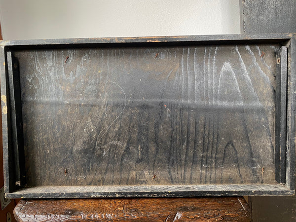 Vintage 1950’s Biology Teaching Aid Showing The Cross-Section Of A Leaf
