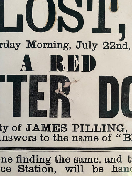 Antique 19th Century Framed Lost Dog Poster For A Dog Called Ben Dated 1871
