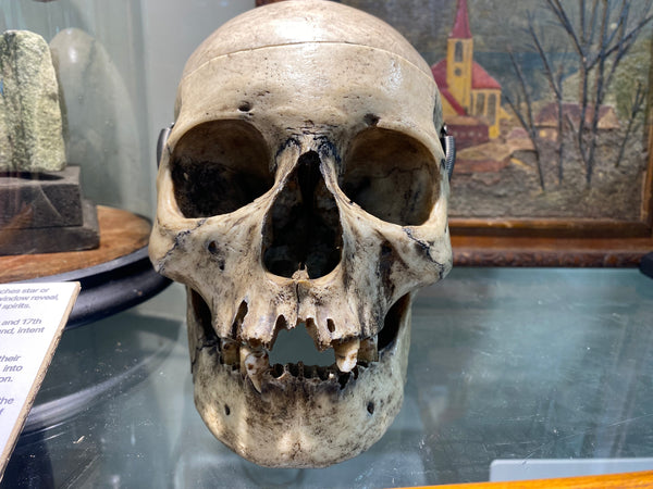 Antique 19th Century Medical Human Skull Teaching Aid - Source Vintage