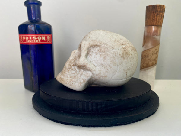 Rare Antique Victorian Parian Ware Apothecary Skull & Bottles