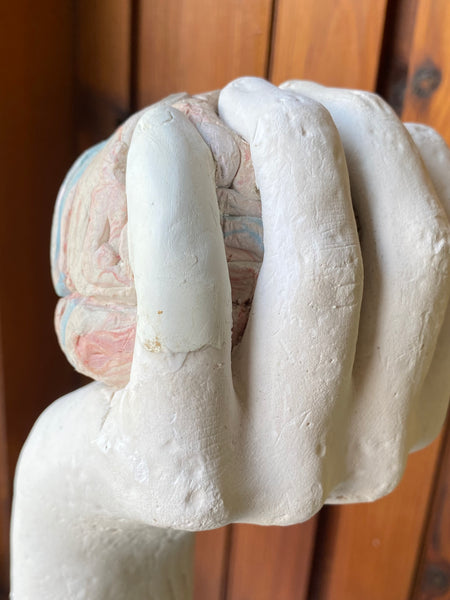 Vintage Plaster Arm Sculpture Clutching A Brain In It’s Fist c.1980’s