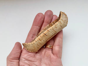 Curious Antique 19th Century Native American Folk Art Miniature Birch Bark Canoe Dated 1893 With Provenance - Source Vintage