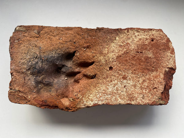 A Salvaged Victorian House Brick With A Curious Paw Print, Dating To Around 1860 - Source Vintage
