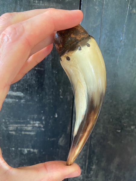 Rare Early Antique 19th Century Folk Art Horn & Wood Sailor Made Fid