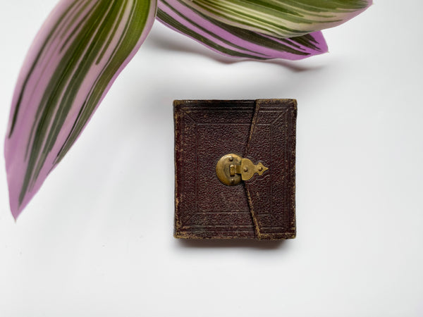 A Charming Miniature Cased 19th Century Ambrotype Of A Lady - Source Vintage