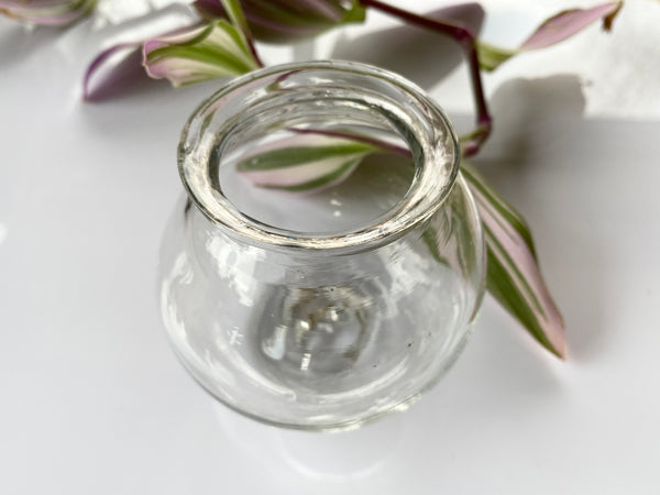 Antique 19th Glass Apothecary Leech Jar - Source Vintage