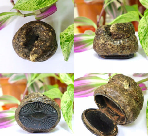 Rare Antique Victorian Papier Mache Novelty Snuff Box In The Form Of A Turd - Source Vintage