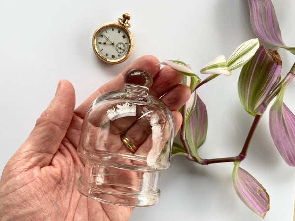 Antique 19th Century Miniature Glass Cloche - Source Vintage