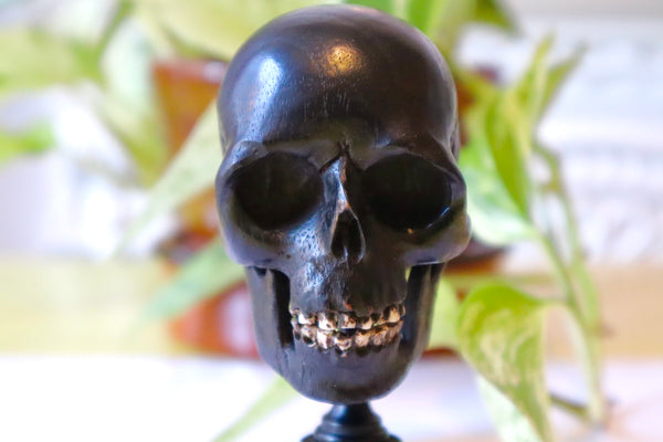 Rare Antique 19th Century Carved Ebony Memento Mori Skull c.1880 - Source Vintage