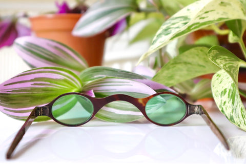 Rare Antique Green-Tinted Tortoiseshell & Silver Spectacles c.1800 - Source Vintage